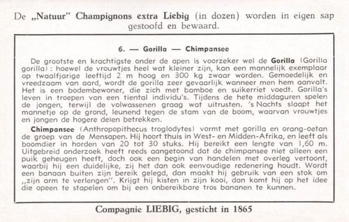 1954 Liebig De Apen (Monkeys) (Dutch Text) (F1601, S1604) #6 Gorilla - Chimpansee Back