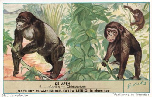 1954 Liebig De Apen (Monkeys) (Dutch Text) (F1601, S1604) #6 Gorilla - Chimpansee Front