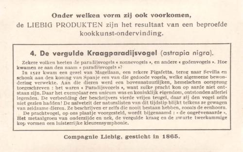 1943 Liebig De Paradijsvogels (Birds of Paradise) (Dutch Text) (F1449, S1455) #4 De vergulde Kraagparadijsvogel Back