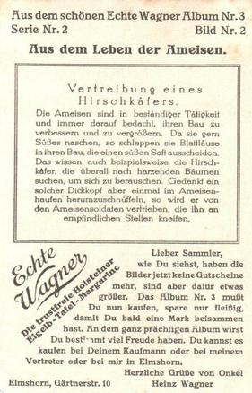 1930 Echte Wagner Aus dem Leben der Ameisen (From the Life of Ants) Album 3, Serie 2 #2 Vertreibung eines Hirschkäfers Back