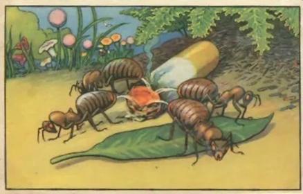 1930 Echte Wagner Aus dem Leben der Ameisen (From the Life of Ants) Album 3, Serie 2 #3 Die Ameisenfeuerwehr Front