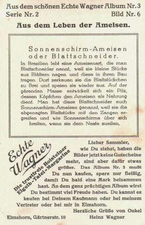 1930 Echte Wagner Aus dem Leben der Ameisen (From the Life of Ants) Album 3, Serie 2 #6 Sonnenschirm-Ameisen oder Blattschneider Back