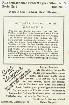 1930 Echte Wagner Aus dem Leben der Bienen (From the Life of Bees) Album 3, Serie 3 #3 Arbeitsbienen beim Wabenbau Back
