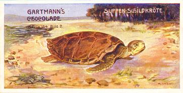 1907 Gartmann Reptilien (Reptiles) Serie 184 #2 Die Suppenschildkrote Front
