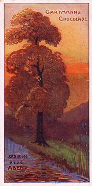 1907 Gartmann Stimmungsbilder (Mood Pictures) Serie 194 #5 Abend Front