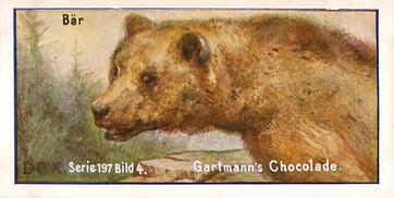 1907 Gartmann Raubtiere (Predators) Serie 197 #4 Der Bar Front