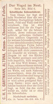 1907 Gartmann Der Vogel im Nest (Birds in Their Nests) Serie 205 #6 Schottische Schneehühner Back