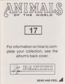 1990 Panini Animals of the World Stickers #17 Sticker 17 Back