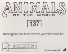 1990 Panini Animals of the World Stickers #137 Sticker 137 Back