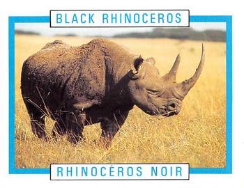 1990 Kellogg's Canadian Wildlife Federation #NNO Black Rhinoceros Front