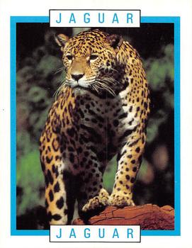 1990 Kellogg's Canadian Wildlife Federation #NNO Jaguar Front