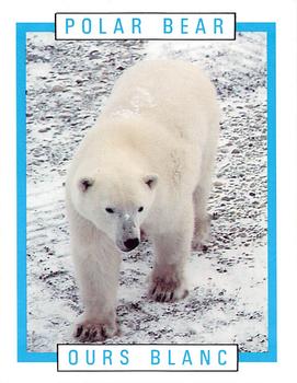 1990 Kellogg's Canadian Wildlife Federation #NNO Polar Bear Front
