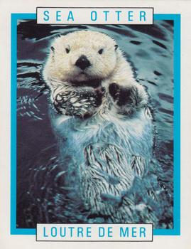 1990 Kellogg's Canadian Wildlife Federation #NNO Sea Otter Front