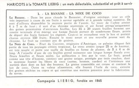 1952 Liebig Fruits Exotiques (Exotic Fruits) (French Text) (F1541, S1537) #1 La Banane - La Noix De Coco Back