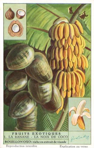 1952 Liebig Fruits Exotiques (Exotic Fruits) (French Text) (F1541, S1537) #1 La Banane - La Noix De Coco Front