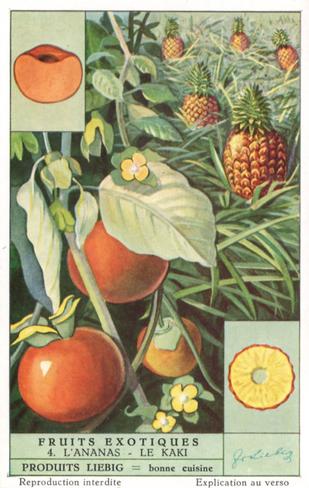 1952 Liebig Fruits Exotiques (Exotic Fruits) (French Text) (F1541, S1537) #4 L'Ananas - Le Kaki Front