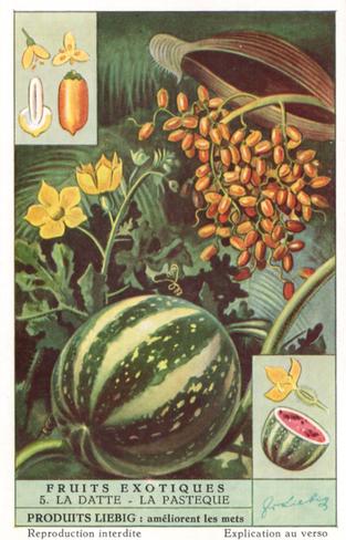 1952 Liebig Fruits Exotiques (Exotic Fruits) (French Text) (F1541, S1537) #5 La Pasteque - La Datte Front
