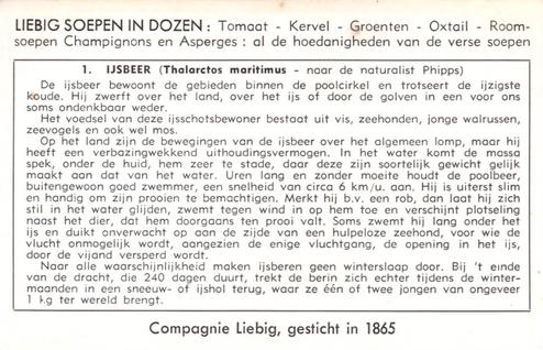 1955 Liebig De Beren (Bears) (Dutch Text) (F1620, S1620) #1 Ijsbeer Back