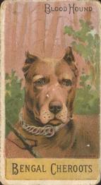 1888 Ellis, H. & Co. Breeds of Dogs - Bengal Cheroots #NNO Blood Hound Front
