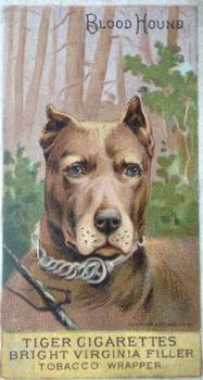 1888 Ellis, H. & Co. Breeds of Dogs - Tiger #NNO Blood Hound Front