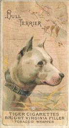 1888 Ellis, H. & Co. Breeds of Dogs - Tiger #NNO Bull Terrier Front