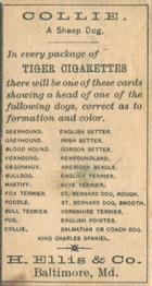 1888 Ellis, H. & Co. Breeds of Dogs - Tiger #NNO Collie Back