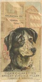 1888 Ellis, H. & Co. Breeds of Dogs - Tiger #NNO Dalmatian Or Coach Dog Front