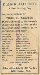 1888 Ellis, H. & Co. Breeds of Dogs - Tiger #NNO Deer Hound Back