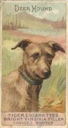 1888 Ellis, H. & Co. Breeds of Dogs - Tiger #NNO Deer Hound Front