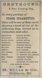1888 Ellis, H. & Co. Breeds of Dogs - Tiger #NNO Grey Hound Back