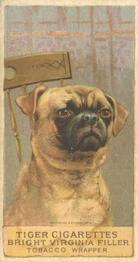 1888 Ellis, H. & Co. Breeds of Dogs - Tiger #NNO Pug Front