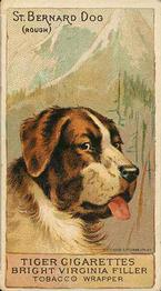 1888 Ellis, H. & Co. Breeds of Dogs - Tiger #NNO St. Bernard Dog (rough) Front