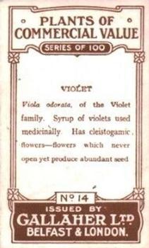 1917 Gallaher Plants of Commercial Value #14 Violet Back