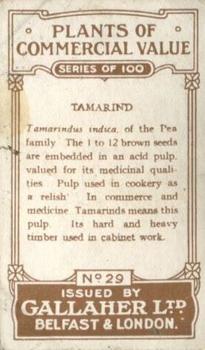 1917 Gallaher Plants of Commercial Value #29 Tamarind Back