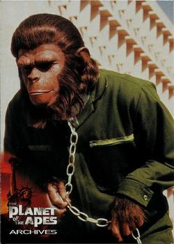 1999 Inkworks The Planet of the Apes Archives - Promos #P1 The Planet of the Apes Archives Front