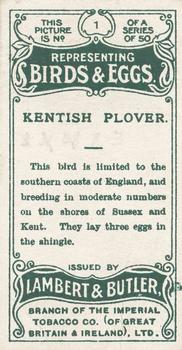 1906 Lambert & Butler Representing Birds & Eggs #1 Kentish Plover Back