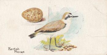 1906 Lambert & Butler Representing Birds & Eggs #1 Kentish Plover Front