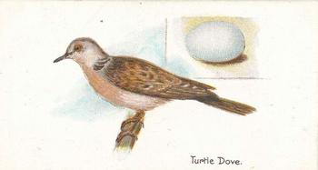 1906 Lambert & Butler Representing Birds & Eggs #2 Turtle Dove Front