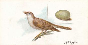 1906 Lambert & Butler Representing Birds & Eggs #5 Nightingale Front