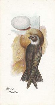 1906 Lambert & Butler Representing Birds & Eggs #9 Sand Martin Front