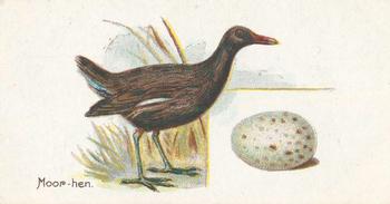 1906 Lambert & Butler Representing Birds & Eggs #11 Moor-Hen Front