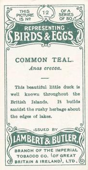 1906 Lambert & Butler Representing Birds & Eggs #12 Common Teal Back