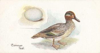 1906 Lambert & Butler Representing Birds & Eggs #12 Common Teal Front