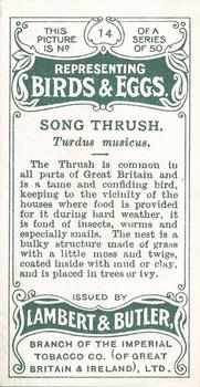 1906 Lambert & Butler Representing Birds & Eggs #14 Song Thrush Back