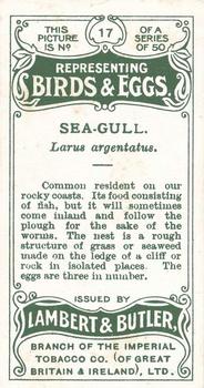 1906 Lambert & Butler Representing Birds & Eggs #17 Sea-Gull Back