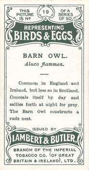 1906 Lambert & Butler Representing Birds & Eggs #19 Barn Owl Back