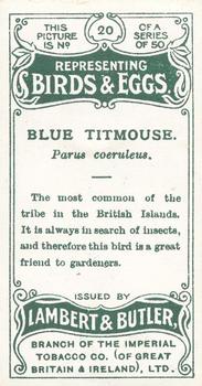 1906 Lambert & Butler Representing Birds & Eggs #20 Blue Titmouse Back
