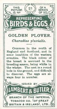 1906 Lambert & Butler Representing Birds & Eggs #21 Golden Plover Back