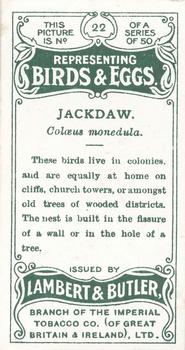 1906 Lambert & Butler Representing Birds & Eggs #22 Jackdaw Back