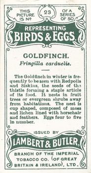 1906 Lambert & Butler Representing Birds & Eggs #23 Goldfinch Back